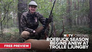 Roebuck Season Begins Anew at Trolle Ljungby Series 1  An MOTV Original [upl. by Valle]