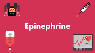 Epinephrine  Vasopressors amp Inotropes  MEDZCOOL [upl. by Ernestus]