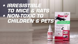 How to Bait Mice amp Rats Using Tomcat® Attractant Gel [upl. by Aieken]