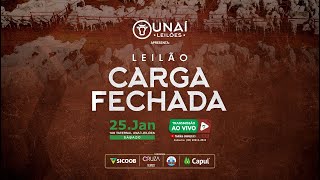 LEILÃO CARGA FECHADA DA UNAÍ LEILÕES  25012025 [upl. by Aihtekal]