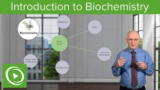 Introduction to Biochemistry – Biochemistry  Lecturio [upl. by Norreht]