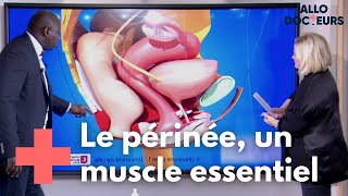 Comment protéger votre périnée   Allo Docteurs [upl. by Maurine]