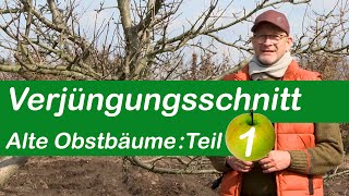 Verjüngungsschnitt  Alte Obstbäume schneiden  Teil 1 [upl. by Edahsalof]