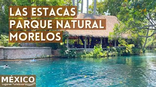 Las Estacas Morelos Parque Natural en 4K  Que Ver y Hacer  Hotel y Balneario [upl. by Eniamrej]