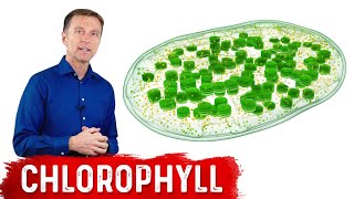 9 Proven Benefits of Chlorophyll [upl. by Ahkeber]