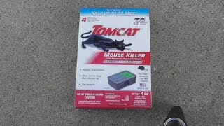 TomCat Mouse Killer DOES IT WORK [upl. by Kcirdde289]