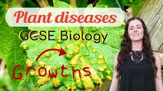 Plant diseases  GCSE Biology Revision for 2020 [upl. by Mallina]