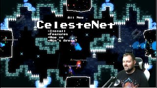 Celeste chapter 1 Forsaken City Crystal Heart Location [upl. by Merill]