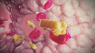 Anticoagulation amp Thrombolytics Hemostasis  Lesson 6 [upl. by Eenimod]