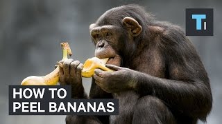 How to peel bananas [upl. by Aisul947]