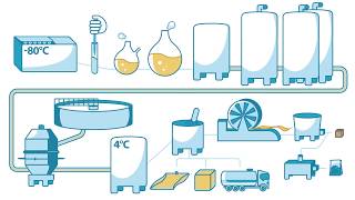 How yeast is made  Lesaffre [upl. by Ssilb]