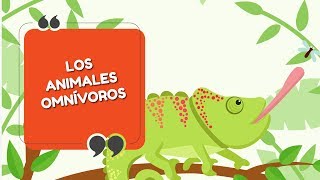 Animales Omnívoros  Explicación sencilla  E9 – T0 [upl. by Latisha]