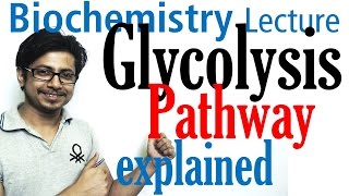 Glycolysis biochemistry [upl. by Astrahan]