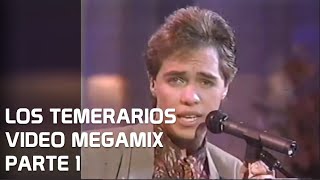 DJ GOOFY  LOS TEMERARIOS VIDEO MEGAMIX 1 [upl. by Warga]