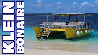 Our Day With Caribe Watersport  Snorkeling At Klein Bonaire  March 2020 Cruise Vlog  ParoDeeJay [upl. by Atteuqcaj]