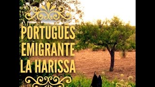 LA HARISSA  PORTUGUÊS EMIGRANTE  audio  lyrics [upl. by Golliner704]