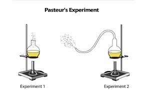 Pasteurs Experiment [upl. by Aleek]