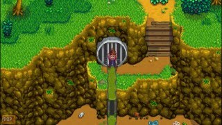 How To Unlock The Sewers  Stardew Valley [upl. by Annayi452]