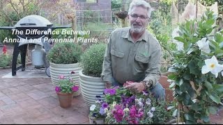 What is the Difference Between Annual and Perennial Plants [upl. by Nodyarg581]