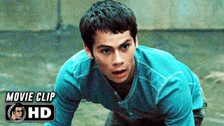 welcome to the glade  a maze runner playlist [upl. by Aysab]