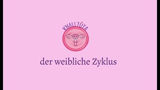 Der weibliche Zyklus [upl. by Hairem]