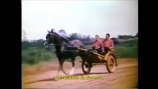 TONICO E TINOCO  MORENINHA LINDA  1961Legendado [upl. by Htenek]