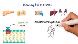 Regulação do metabolismo celular [upl. by Hareemas]