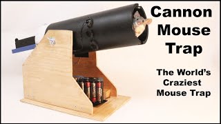 Cannon Mouse Trap  The Worlds Craziest Mouse Trap Mousetrap Monday [upl. by Isadora]