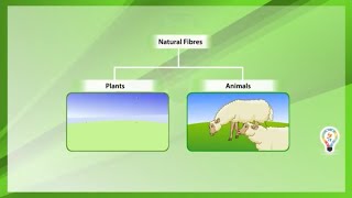 Natural fibres and synthetic fibres [upl. by Yremrej443]