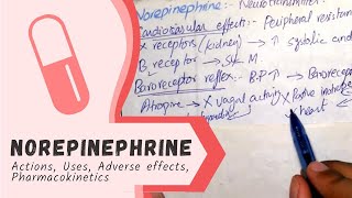 NOREPINEPHRINE  Actions Uses Pharmacokinetics adverse effects PHARMACOLOGY [upl. by Edna]