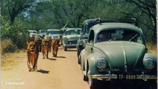 Kruger National Park History [upl. by Bonine]