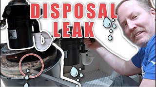 How to Safely Clean a Garbage Disposal [upl. by Pulsifer]