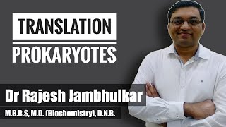 Translation in Prokaryotes [upl. by Aramaj]