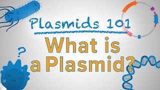 What is a Plasmid  Plasmids 101 [upl. by Adnilec]