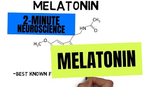 2Minute Neuroscience Melatonin [upl. by Deanne511]