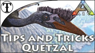 Fast Quetzal Taming Guide  Ark  Survival Evolved Tips and Tricks [upl. by Felicio]