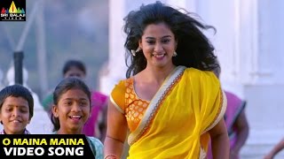 Lovers Songs  O Maina Maina Video Song  Latest Telugu Video Songs  Sumanth Ashwin Nanditha [upl. by Kurzawa783]