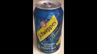 Schweppes Blueberry Peach Ginger Ale 2019 [upl. by Sly]