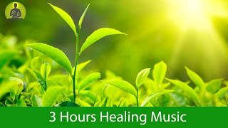 Deep Healing Music for The Body amp Soul  Relaxation Music Meditation Music [upl. by Legnaros]