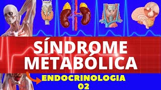 SÍNDROME METABÓLICA RESISTÊNCIA A INSULINA  ENDOCRINOLOGIA [upl. by Tatiania]