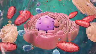 Introduction to Cell Organelles [upl. by Nauaj]