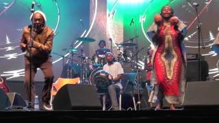 Thomas Mapfumo  Mapungubwe Jazz amp Heritage Festival South Africa 2015 [upl. by Acinonrev]