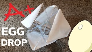 DIY First Place Winning Egg Drop [upl. by Gnilhsa403]