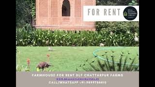 Luxurious Farmhouse For Rent DLF Chattarpur Farms South Delhi Mehrauli [upl. by Livy]