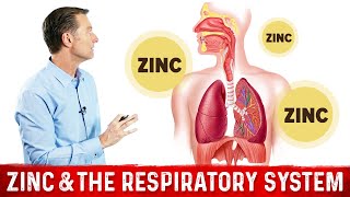 Zinc Effects on Your Respiratory System [upl. by Gregg]