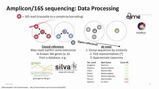 Introduction to Metagenomics for Researchers [upl. by Giwdul]