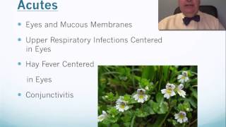 Euphrasia Tip Video [upl. by Gawlas]