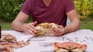 How to Eat a Crab [upl. by Mikol]