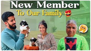 New Member 🥰 nikhilnisha  Nikhil Nisha Vlogs [upl. by Berthold]