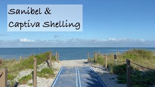 How to find shells Captiva amp Sanibel Island shelling [upl. by Blancha]